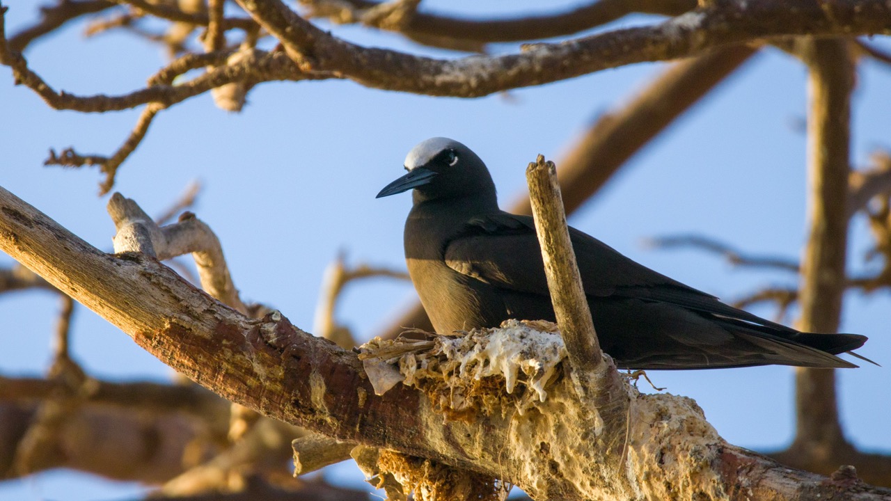 my-take-on-progressive-enhancement