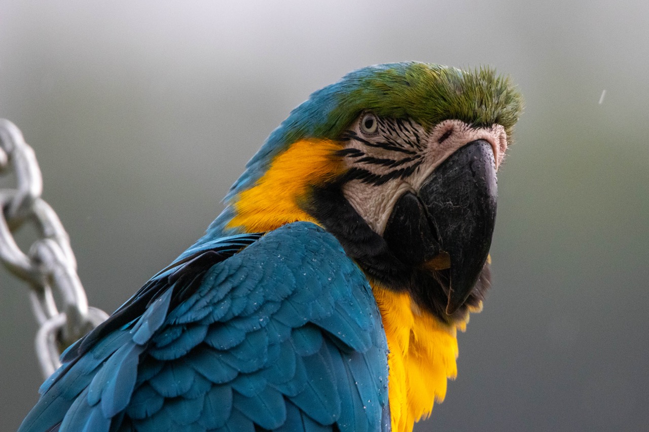 dont-deploy-email-server